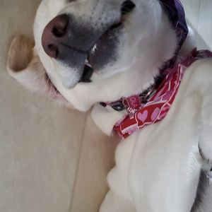 Meet your Posher, Dawn